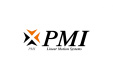 PMI GROUP PMI GROUP